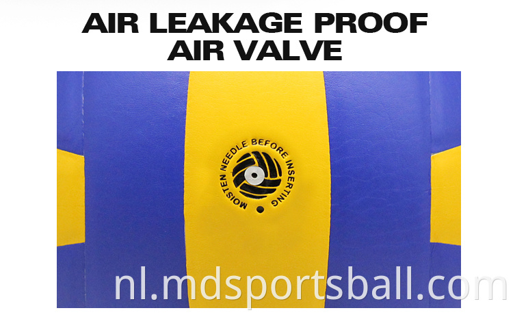 volleyball ball price